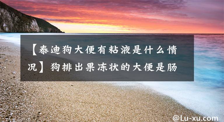 【泰迪狗大便有粘液是什么情况】狗排出果冻状的大便是肠胃问题吗？