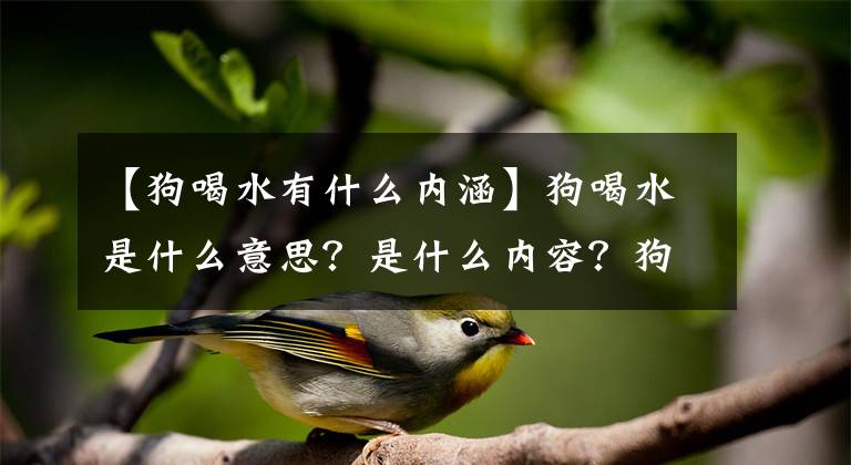 【狗喝水有什么内涵】狗喝水是什么意思？是什么内容？狗喝水的段落是什么梗介绍？