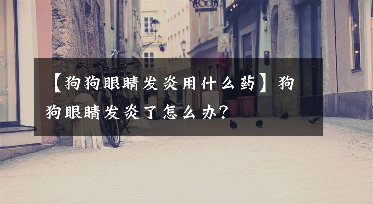 【狗狗眼睛发炎用什么药】狗狗眼睛发炎了怎么办？
