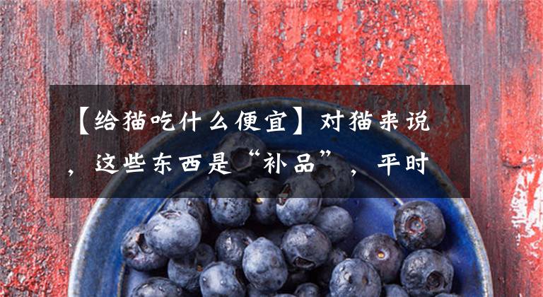 【给猫吃什么便宜】对猫来说，这些东西是“补品”，平时可以喂很多。