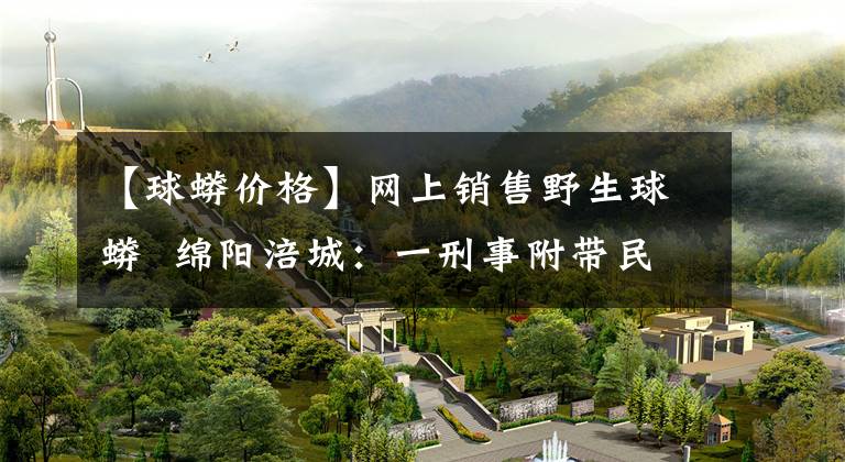 【球蟒价格】网上销售野生球蟒 绵阳涪城：一刑事附带民事公益诉讼案开庭