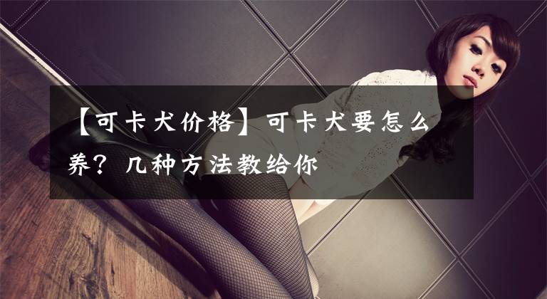 【可卡犬价格】可卡犬要怎么养？几种方法教给你