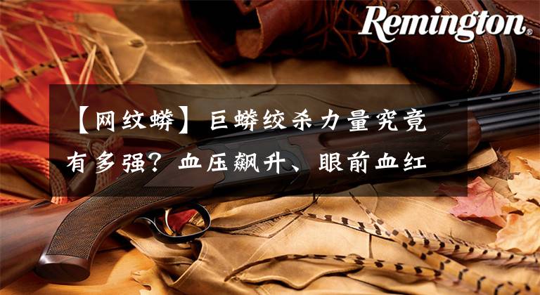 【网纹蟒】巨蟒绞杀力量究竟有多强？血压飙升、眼前血红，一直到脑血管爆裂