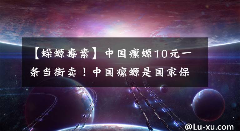 【蝾螈毒素】中国瘰螈10元一条当街卖！中国瘰螈是国家保护动物吗？可以吃吗？