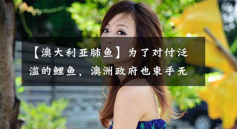 【澳大利亚肺鱼】为了对付泛滥的鲤鱼，澳洲政府也束手无策，这里成了鲤鱼养老院