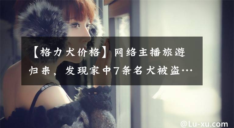 【格力犬价格】网络主播旅游归来，发现家中7条名犬被盗……
