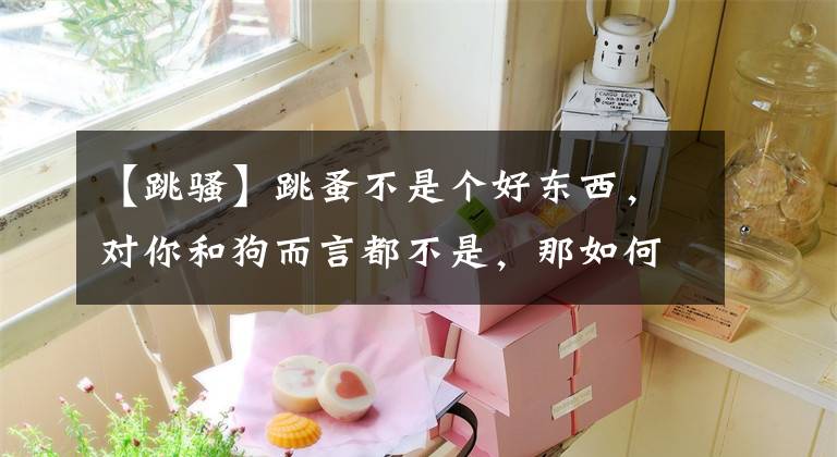 【跳骚】跳蚤不是个好东西，对你和狗而言都不是，那如何治疗与预防挑在呢