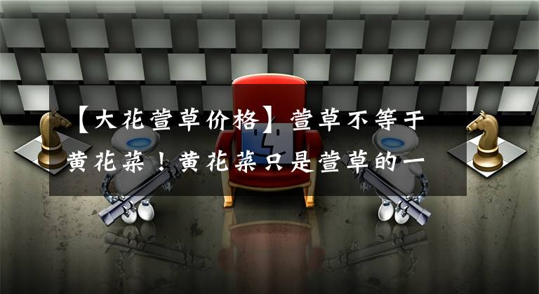 【大花萱草价格】萱草不等于黄花菜！黄花菜只是萱草的一种，其他种类的萱草都有毒