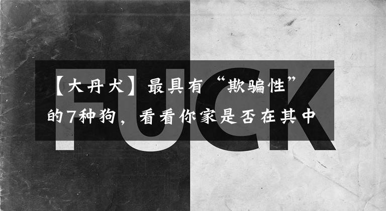 【大丹犬】最具有“欺骗性”的7种狗，看看你家是否在其中