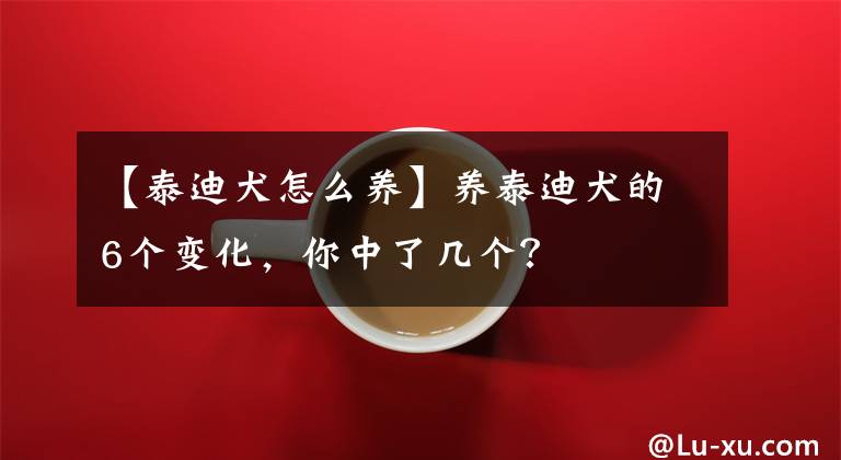 【泰迪犬怎么养】养泰迪犬的6个变化，你中了几个？