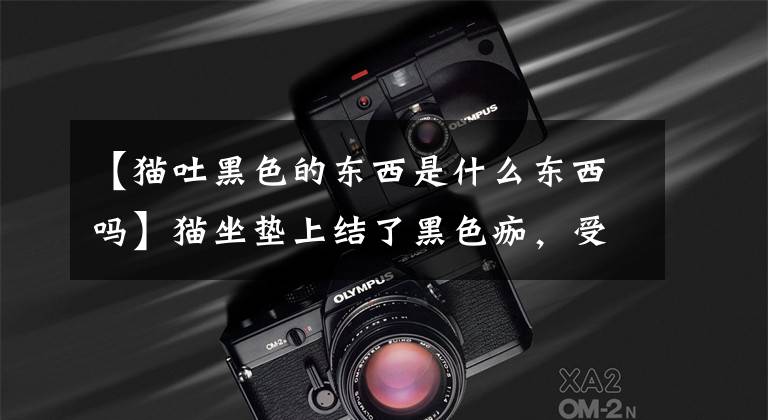 【猫吐黑色的东西是什么东西吗】猫坐垫上结了黑色痂，受伤了吗？