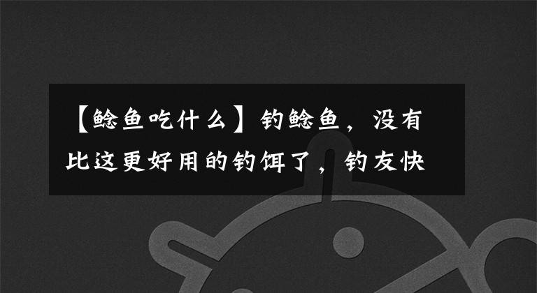 【鲶鱼吃什么】钓鲶鱼，没有比这更好用的钓饵了，钓友快拿去试试吧