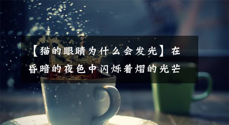 【猫的眼睛为什么会发光】在昏暗的夜色中闪烁着熠的光芒，你知道猫的眼睛为什么会发光吗？