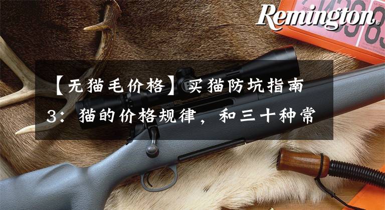 【无猫毛价格】买猫防坑指南3：猫的价格规律，和三十种常见品种猫的合理价格