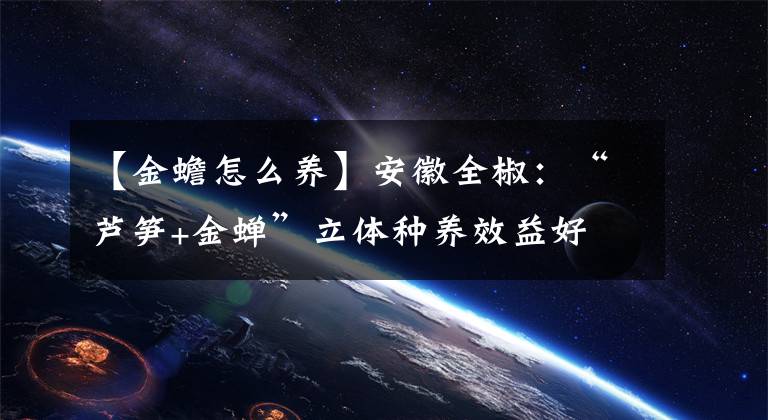 【金蟾怎么养】安徽全椒：“芦笋+金蝉”立体种养效益好