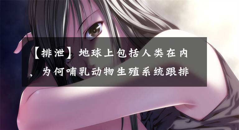 【排泄】地球上包括人类在内，为何哺乳动物生殖系统跟排泄系统靠那么近？