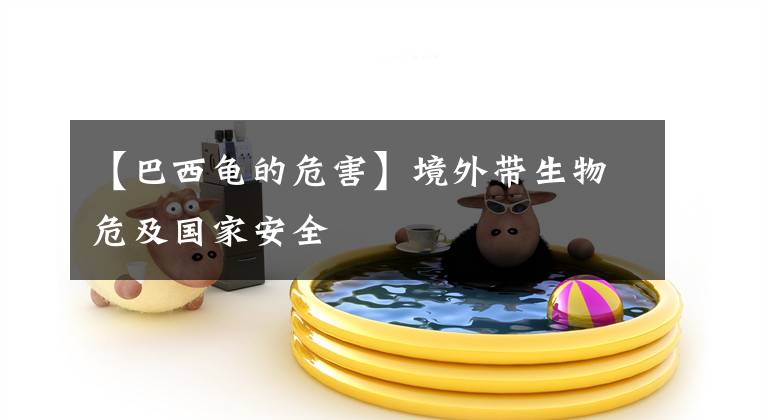【巴西龟的危害】境外带生物危及国家安全