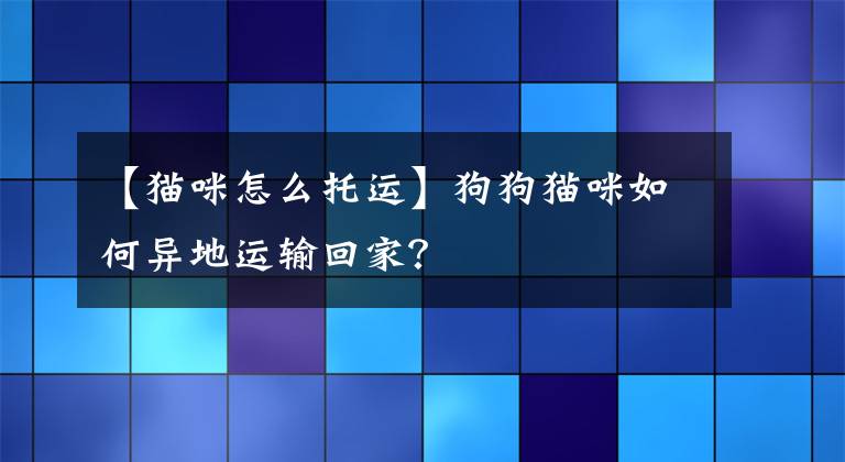 【猫咪怎么托运】狗狗猫咪如何异地运输回家？