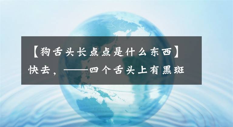 【狗舌头长点点是什么东西】快去，——四个舌头上有黑斑吗？