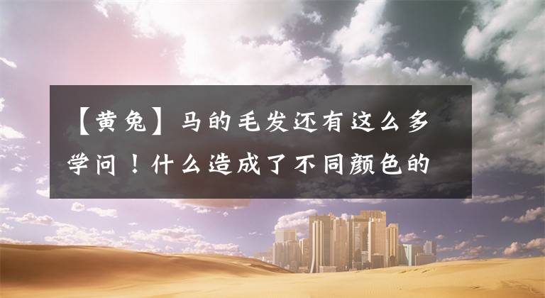 【黄兔】马的毛发还有这么多学问！什么造成了不同颜色的毛发？