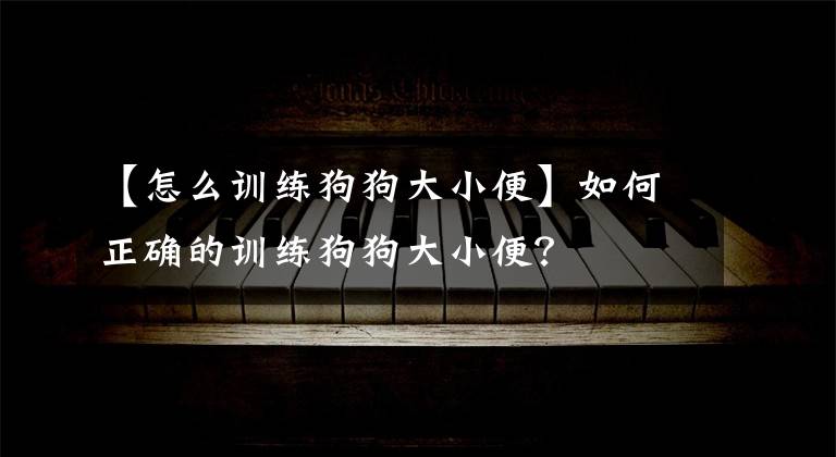 【怎么训练狗狗大小便】如何正确的训练狗狗大小便？