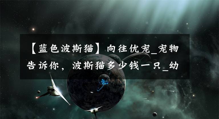 【蓝色波斯猫】向往优宠_宠物告诉你，波斯猫多少钱一只_幼崽怎么养活_有什么色