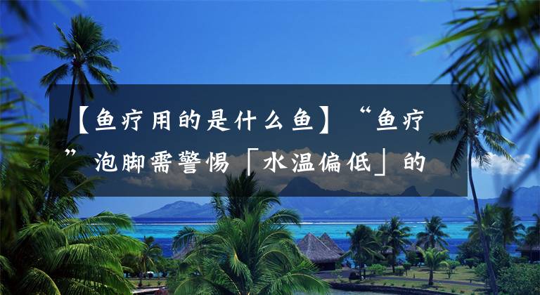 【鱼疗用的是什么鱼】“鱼疗”泡脚需警惕「水温偏低」的温泉泡脚易传染
