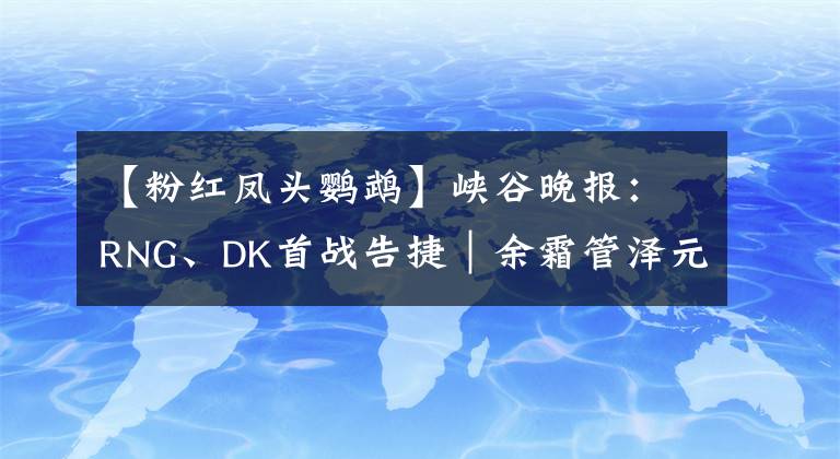 【粉红凤头鹦鹉】峡谷晚报：RNG、DK首战告捷｜余霜管泽元疑似复合