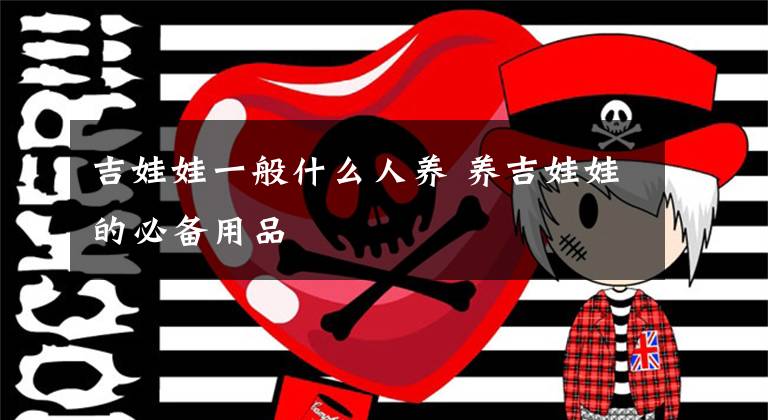 吉娃娃一般什么人养 养吉娃娃的必备用品
