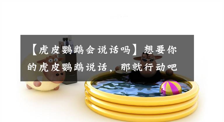 【虎皮鹦鹉会说话吗】想要你的虎皮鹦鹉说话，那就行动吧！