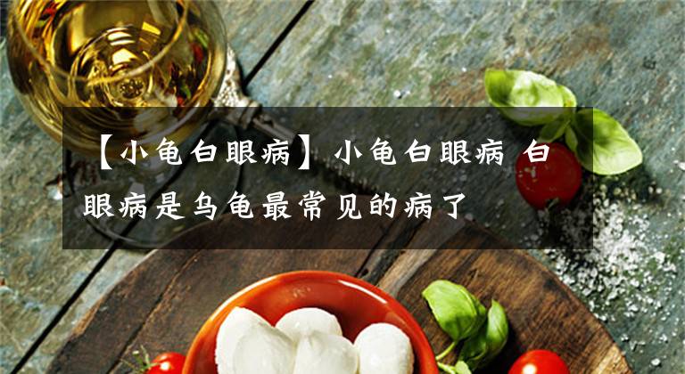 【小龟白眼病】小龟白眼病 白眼病是乌龟最常见的病了