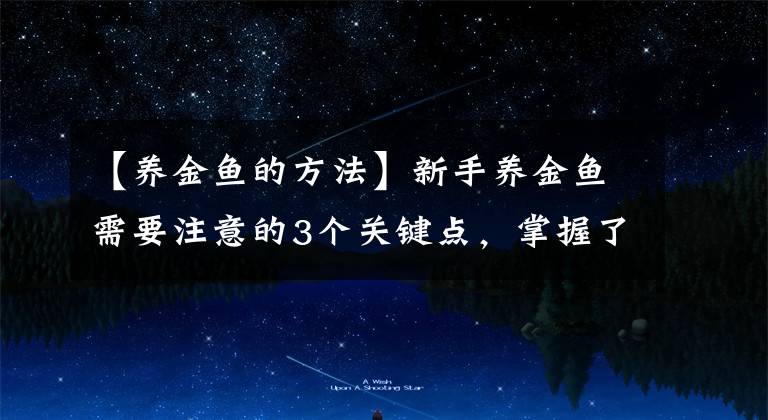 【养金鱼的方法】新手养金鱼需要注意的3个关键点，掌握了这几点养好金鱼并不难
