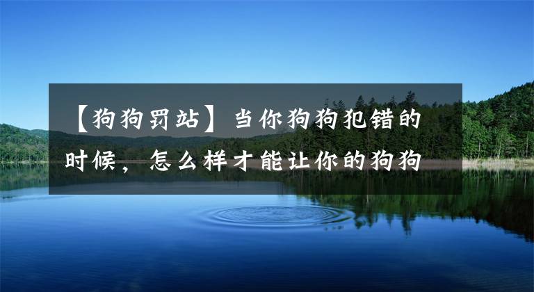 【狗狗罚站】当你狗狗犯错的时候，怎么样才能让你的狗狗罚站？