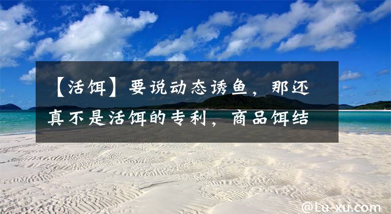 【活饵】要说动态诱鱼，那还真不是活饵的专利，商品饵结合逗钓也可以