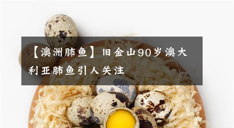 【澳洲肺鱼】旧金山90岁澳大利亚肺鱼引人关注