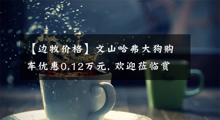 【边牧价格】文山哈弗大狗购车优惠0.12万元, 欢迎莅临赏鉴