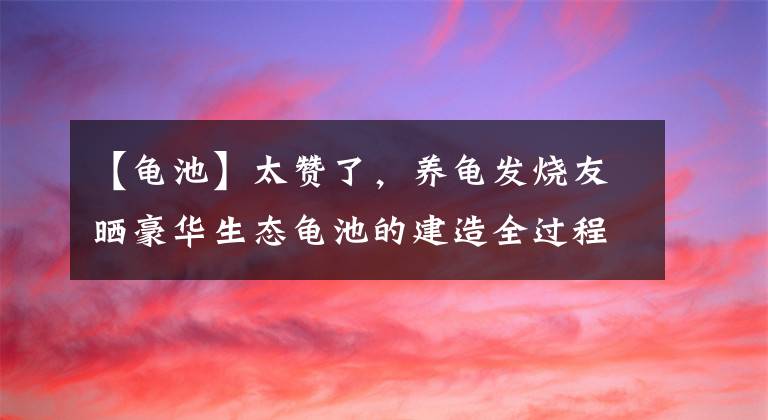 【龟池】太赞了，养龟发烧友晒豪华生态龟池的建造全过程（下篇）