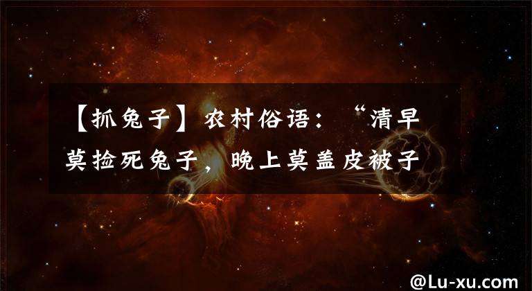【抓兔子】农村俗语：“清早莫捡死兔子，晚上莫盖皮被子”，是啥意思？