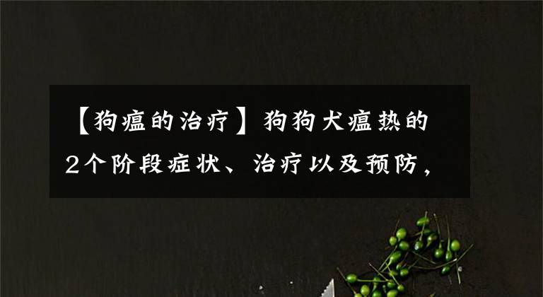 【狗瘟的治疗】狗狗犬瘟热的2个阶段症状、治疗以及预防，你了解多少呢？