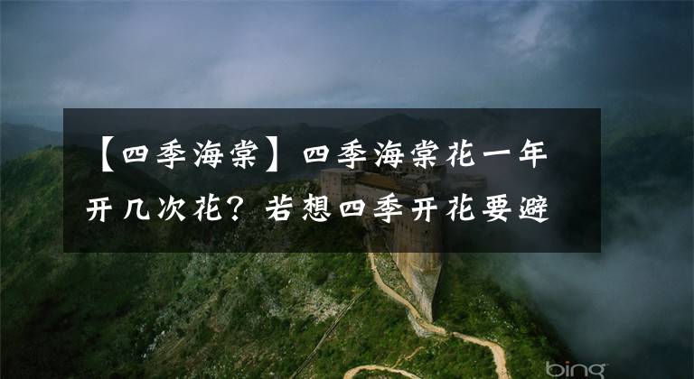 【四季海棠】四季海棠花一年开几次花？若想四季开花要避开“三忌”