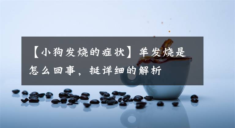 【小狗发烧的症状】羊发烧是怎么回事，挺详细的解析
