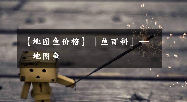 【地图鱼价格】「鱼百科」——地图鱼