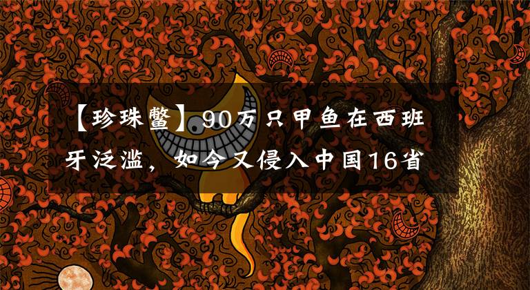 【珍珠鳖】90万只甲鱼在西班牙泛滥，如今又侵入中国16省，将来会失控吗？