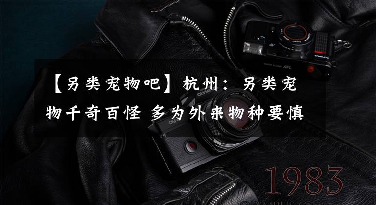 【另类宠物吧】杭州：另类宠物千奇百怪 多为外来物种要慎养
