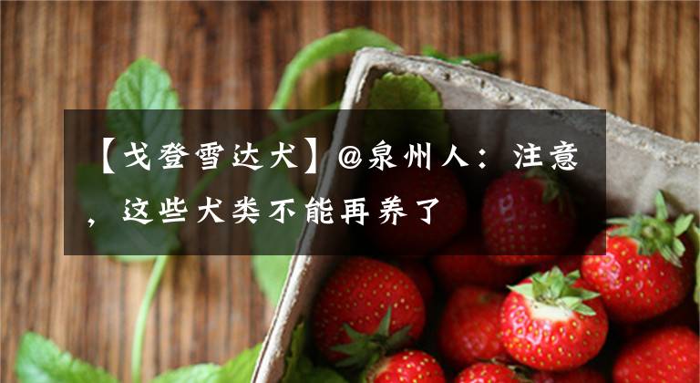 【戈登雪达犬】@泉州人：注意，这些犬类不能再养了