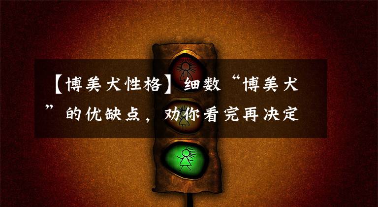 【博美犬性格】细数“博美犬”的优缺点，劝你看完再决定养不养