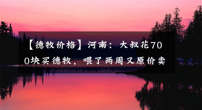 【德牧价格】河南：大叔花700块买德牧，喂了两周又原价卖狗，大叔：狗没毛病