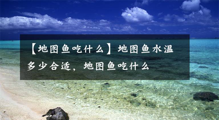【地图鱼吃什么】地图鱼水温多少合适，地图鱼吃什么