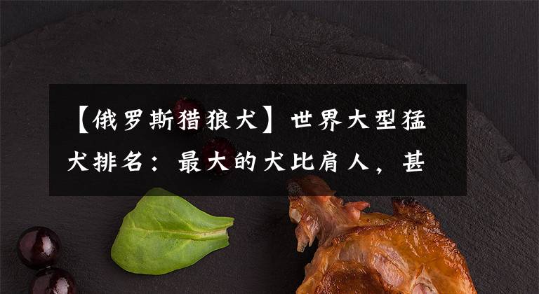 【俄罗斯猎狼犬】世界大型猛犬排名：最大的犬比肩人，甚至可以猎狼？