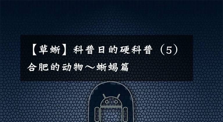 【草蜥】科普日的硬科普（5）合肥的动物～蜥蜴篇